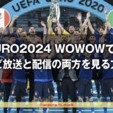 EURO2024の放映権はWOWOWが獲得！テレビ放送と配信視聴の方法とUEFA EUROサッカー欧州選手権の放送日程